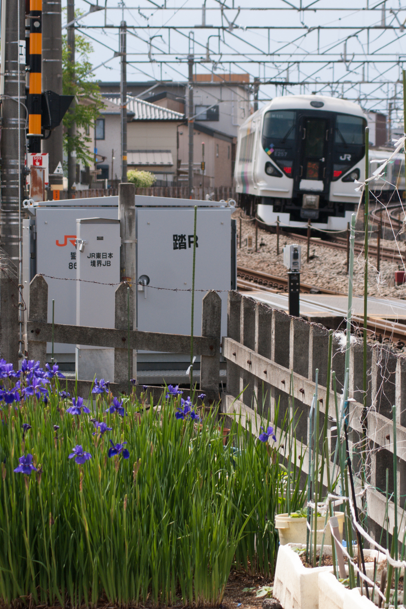 f:id:ComExp2133:20210501152830j:plain