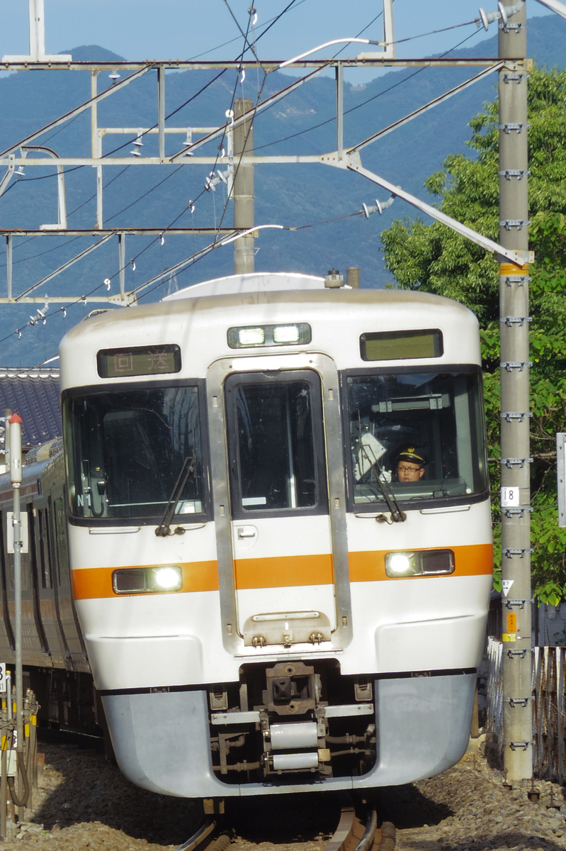 身延線撮影記 まとめ記事だったり誤魔化しだったり - ひがなり雑記帳