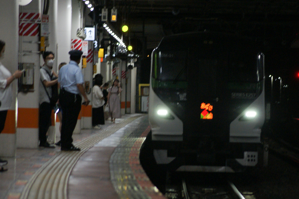 E257系5000番台で帰ろう！久しぶりな武田菱のあずさ号乗車記