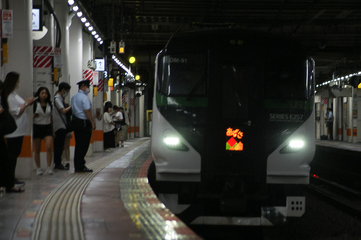 E257系5000番台 室内灯付 KATO鉄道模型オンラインショッピング E257系 5000番台 9両セット
