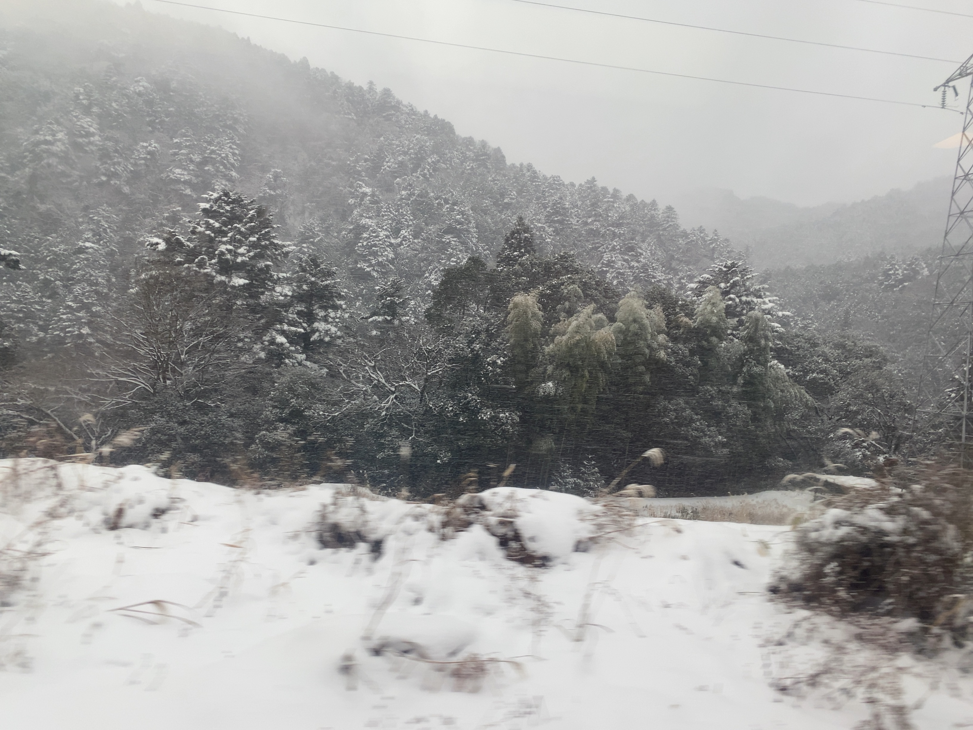 f:id:ComExp2133:20240930015320j:image