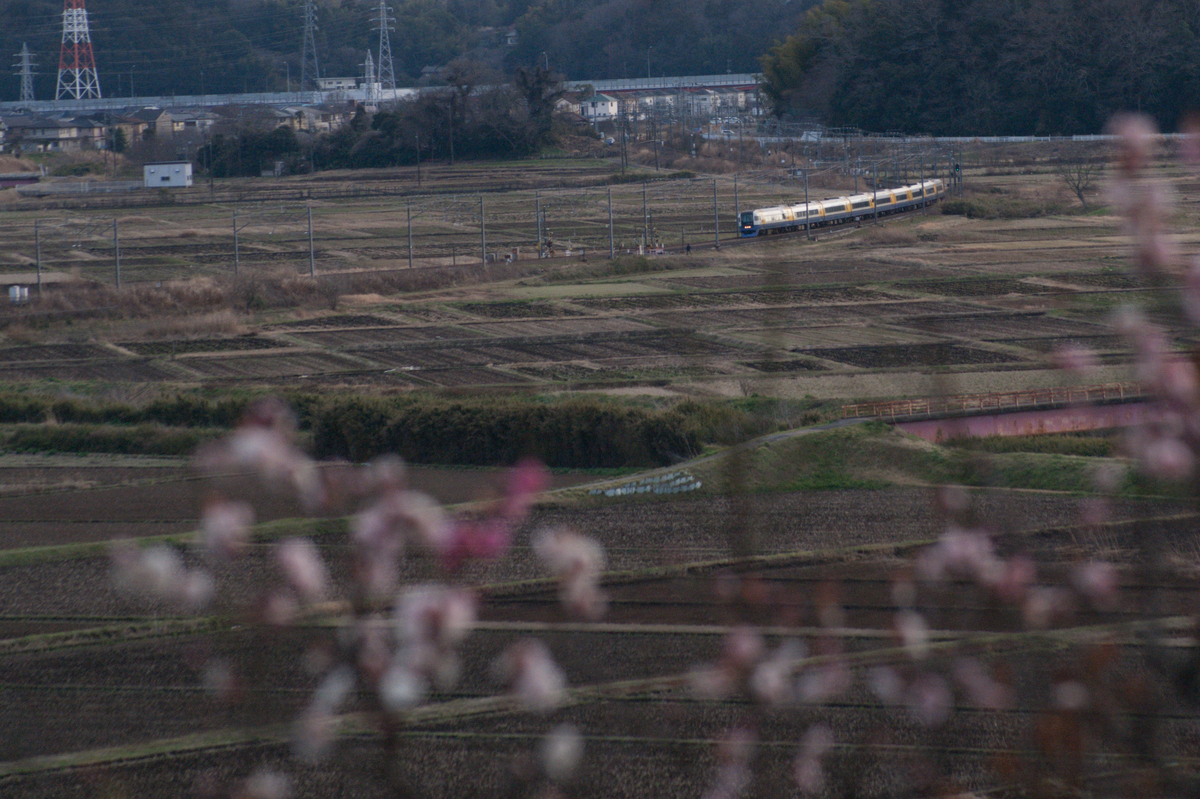 総武本線俯瞰撮影と255系・E257系しおさい。翌日のモノサク（超