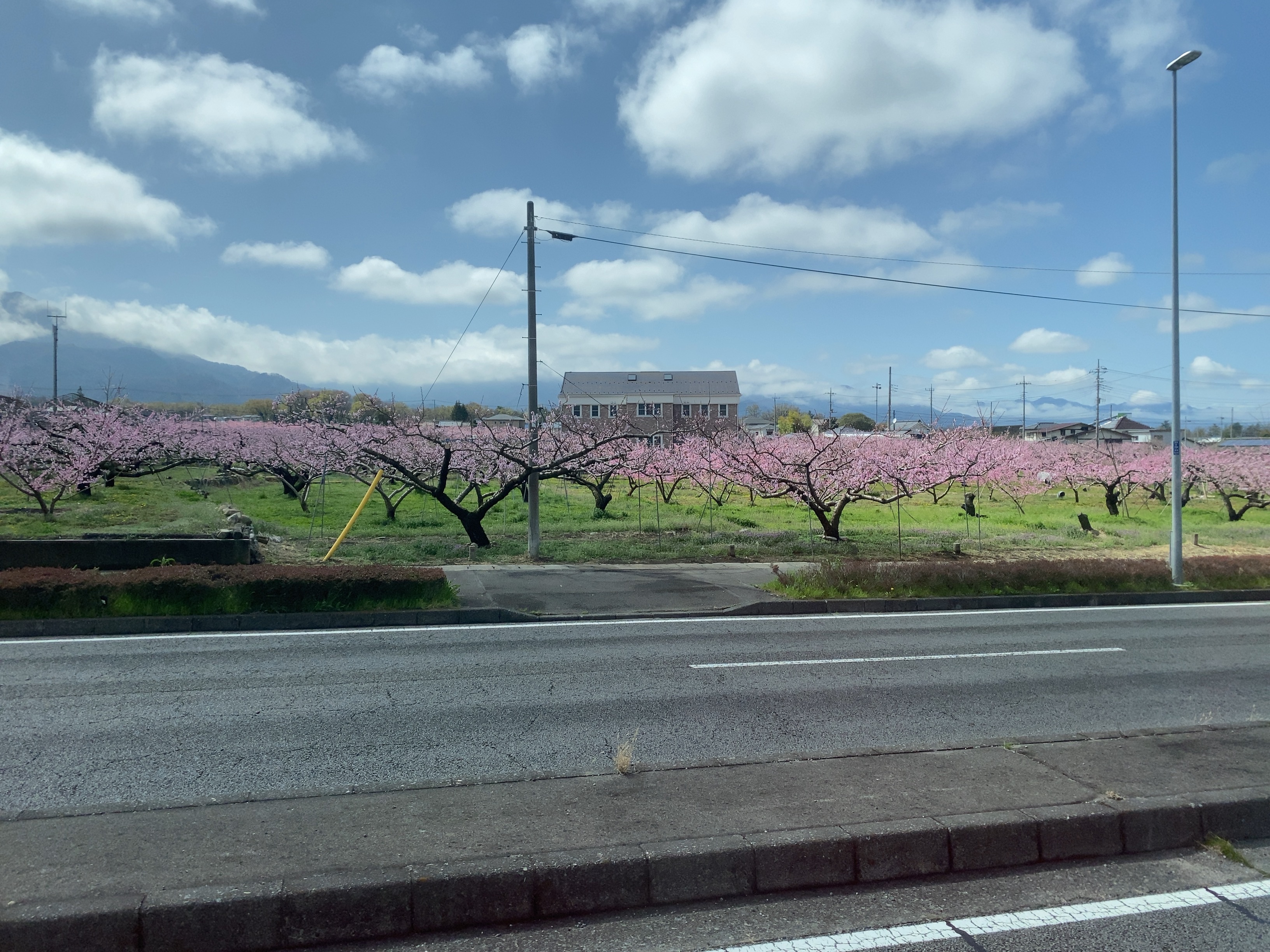 f:id:ComExp2133:20241231065548j:image