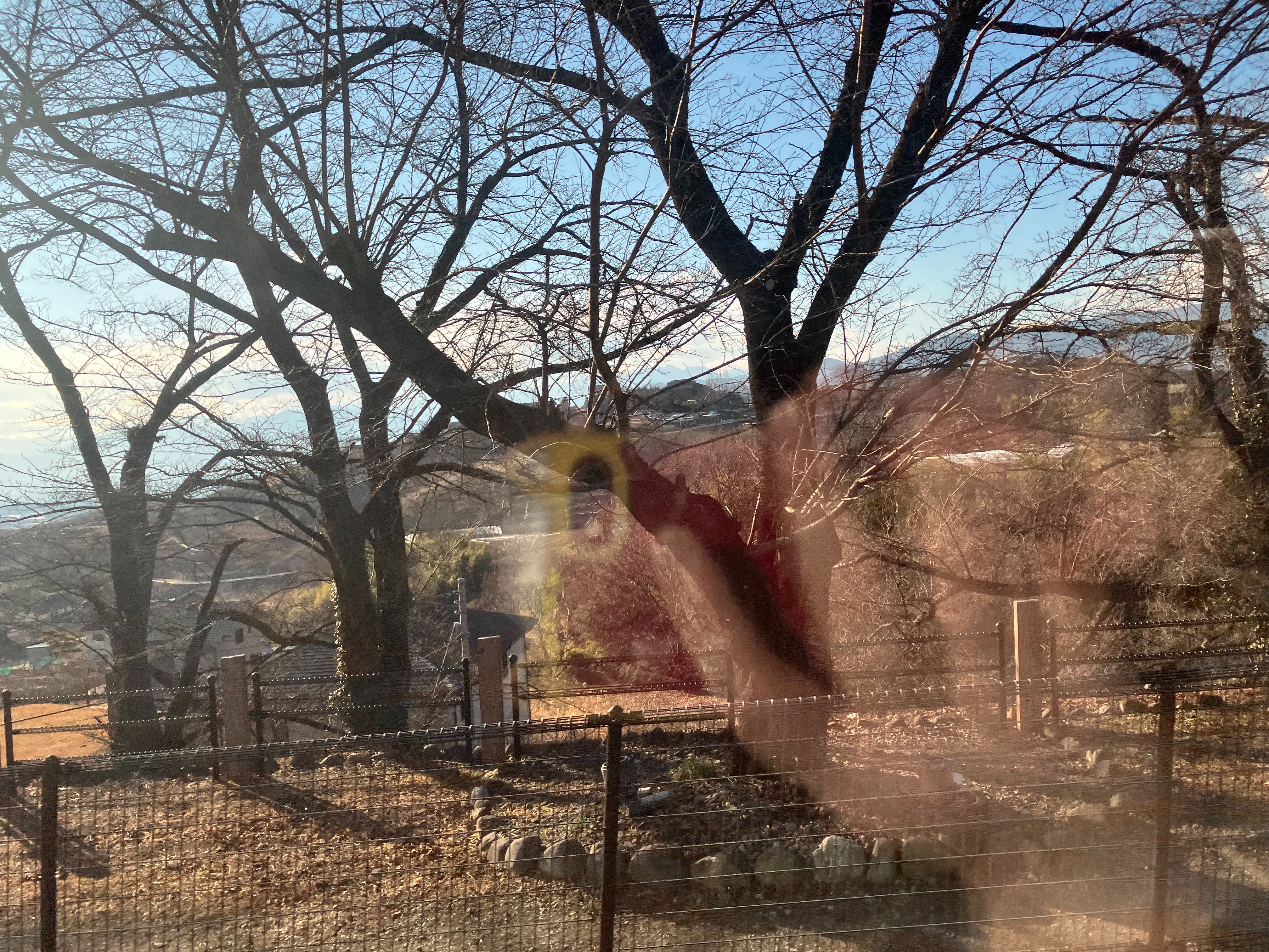 f:id:ComExp2133:20250127015935j:image