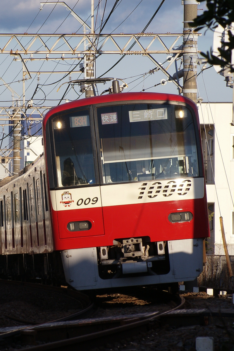 251系 SVO 新塗装 河津桜ラッピング 10両編成 クリアファイル2点付き 251系 河津桜トレイン 運転」の投稿写真（19枚目） - 鉄道コム