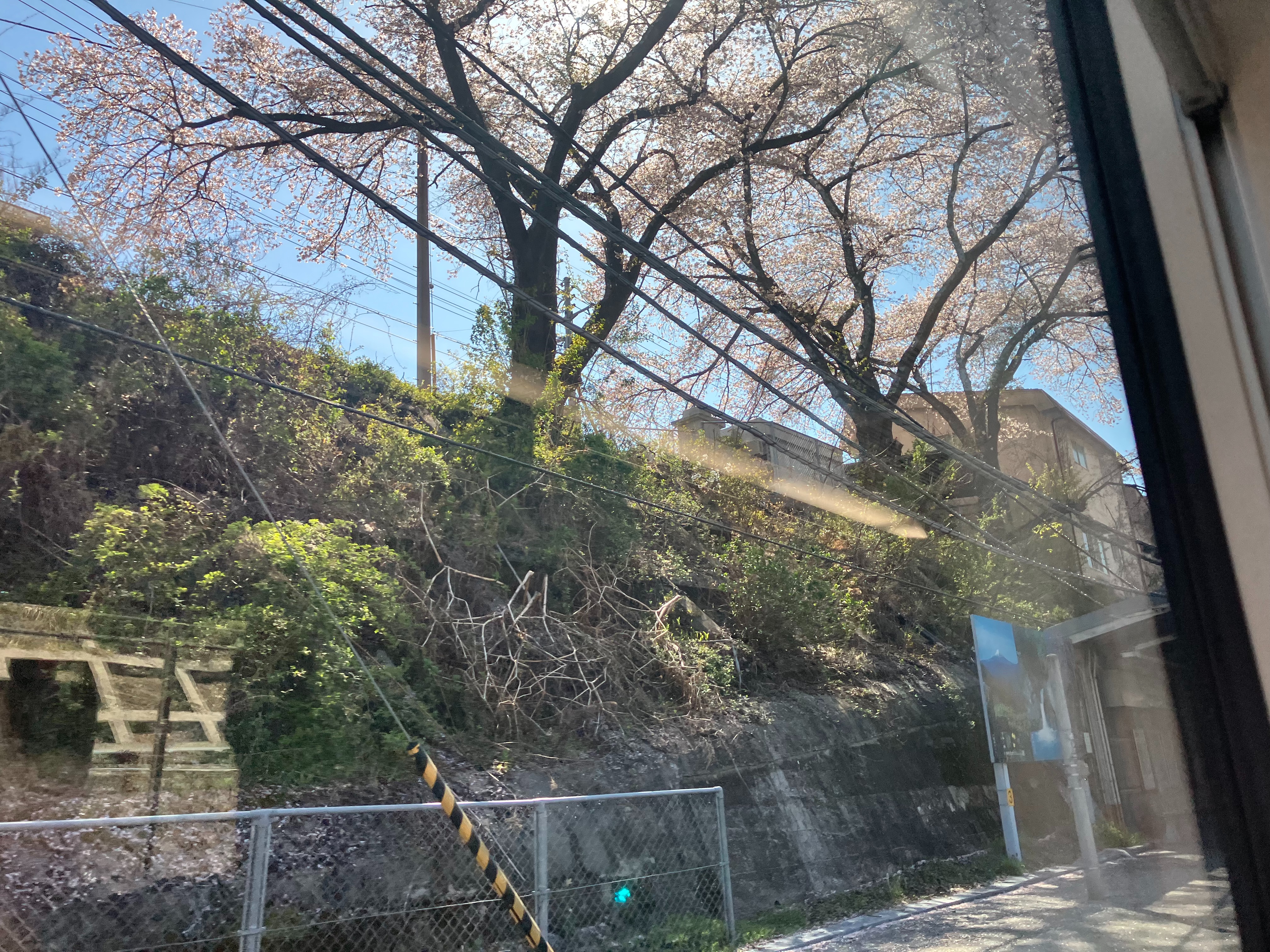 f:id:ComExp2133:20250418031421j:image f:id:ComExp2133:20250418031421j:image