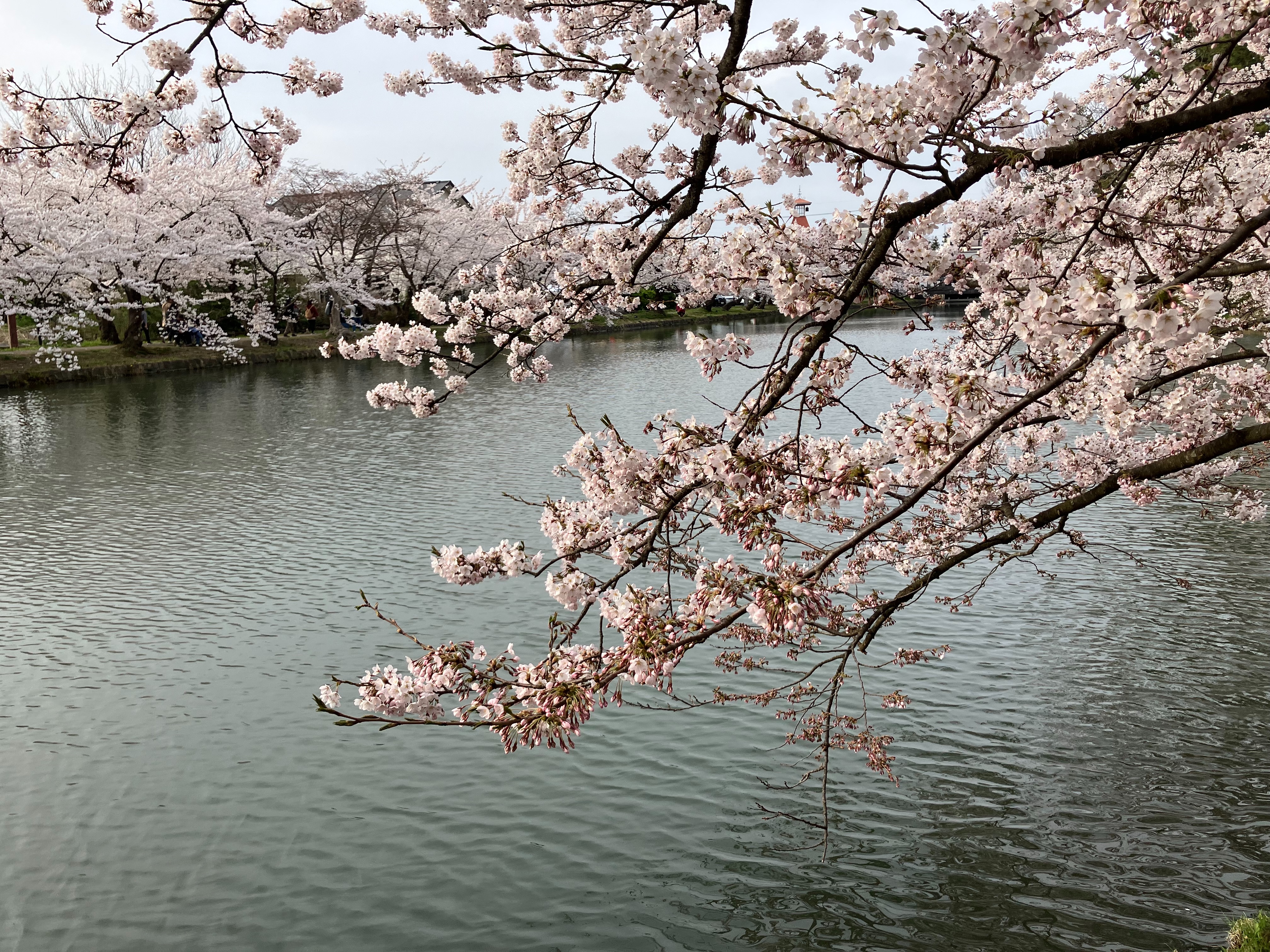 f:id:ComExp2133:20260421191922j:image