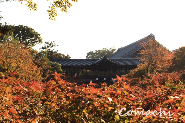 f:id:Comachi:20181116181917j:plain