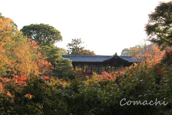 f:id:Comachi:20181116182311j:plain