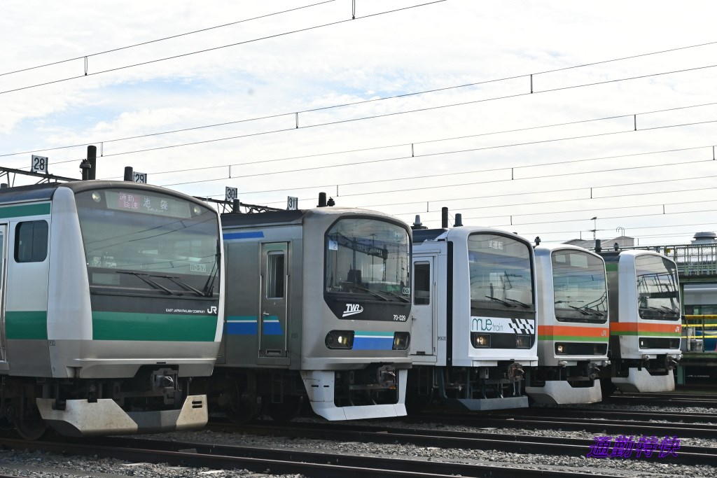 鉄道サボ　鷲羽 鉄道サボ 鷲羽