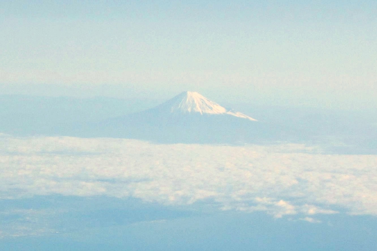 f:id:Comtes_Lafon:20200219082427j:plain