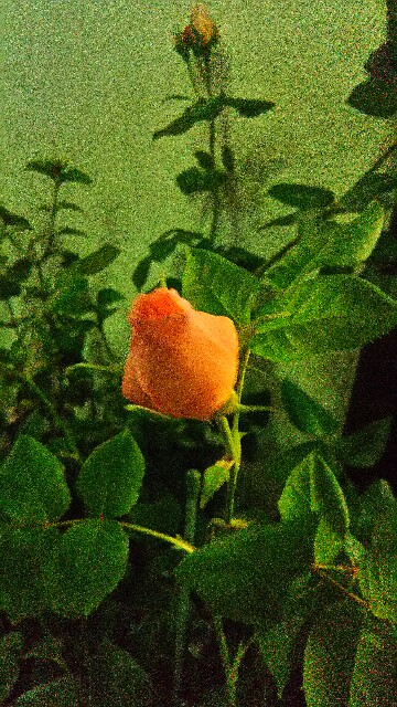 f:id:ConchPearl:20170509215930j:image f:id:ConchPearl:20170509215930j:image