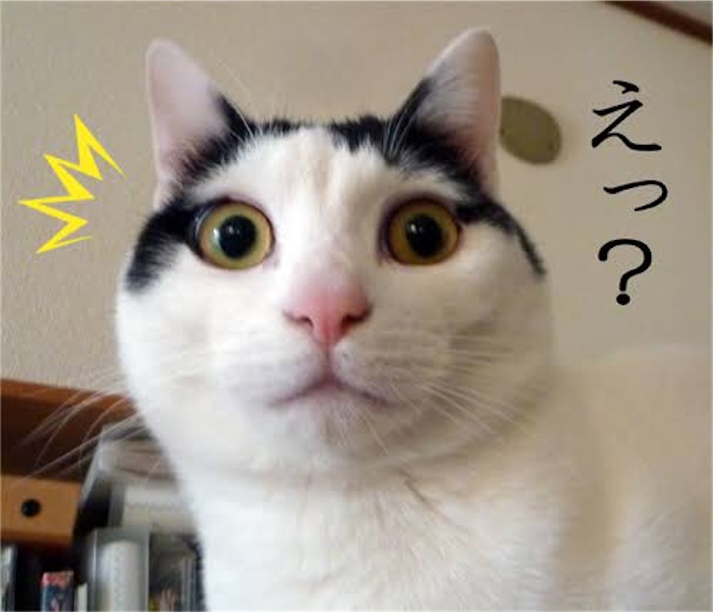 f:id:Conichan:20201210081132j:image