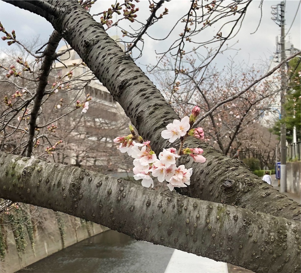 f:id:Conichan:20210323162818j:image