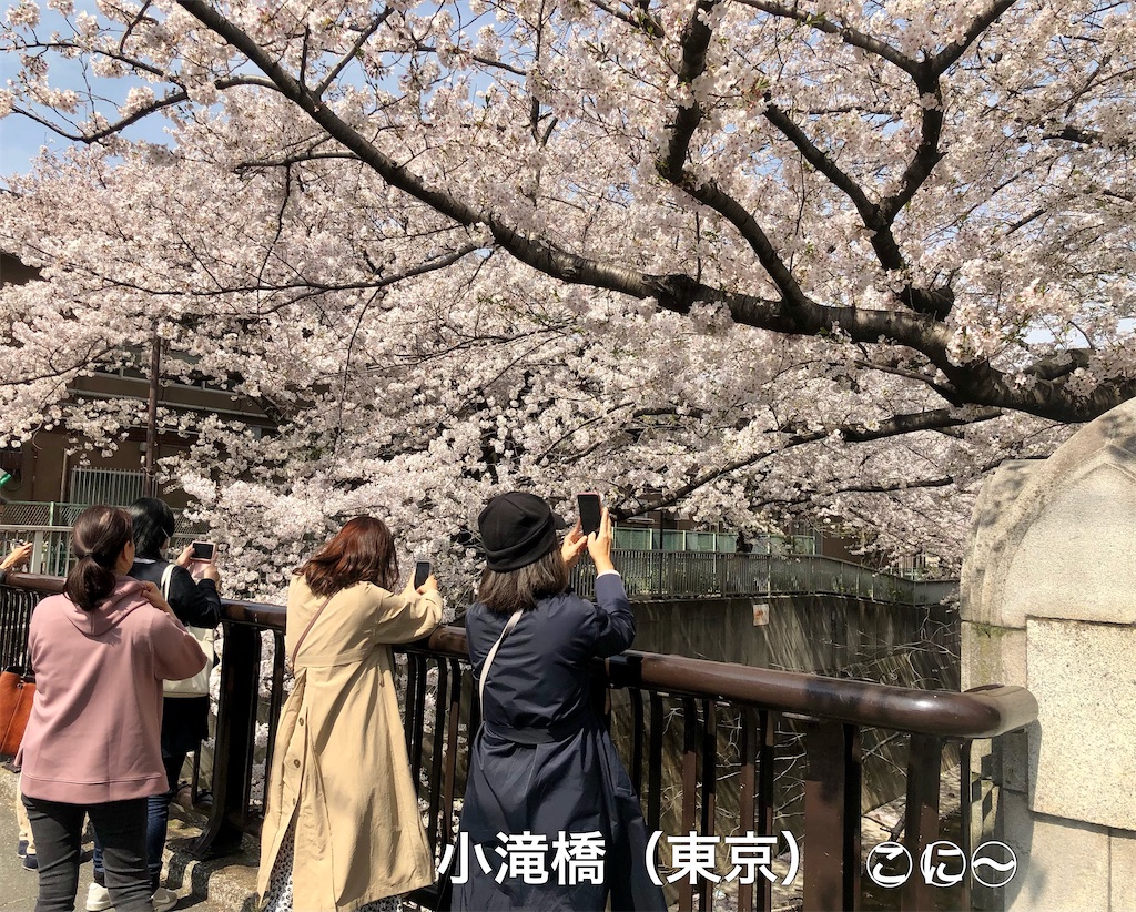 f:id:Conichan:20210405001224j:image