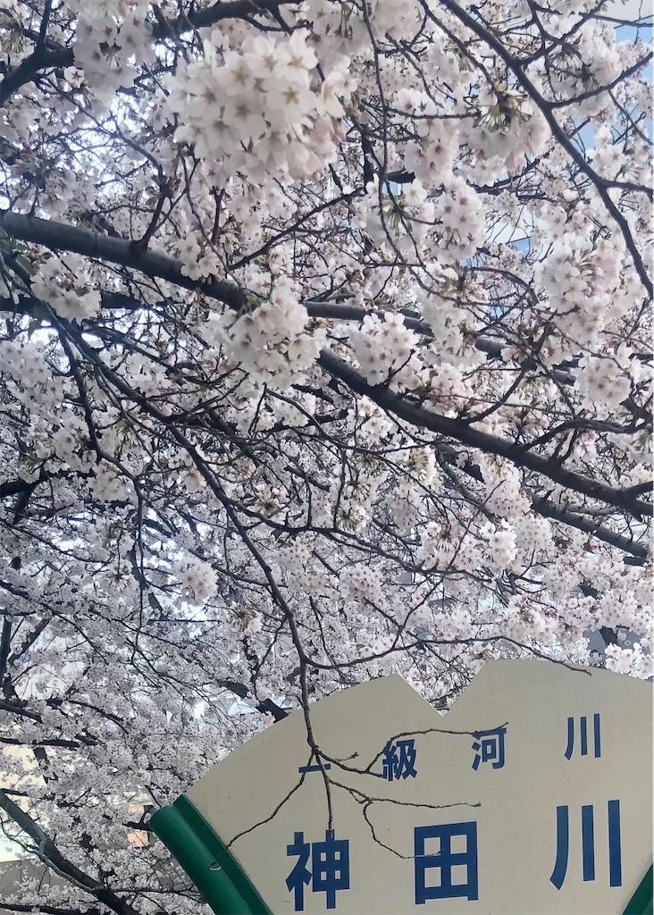 f:id:Conichan:20210405002906j:image