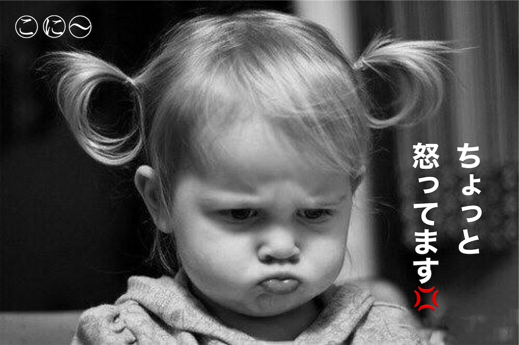 f:id:Conichan:20210604100712j:image f:id:Conichan:20210604100712j:image