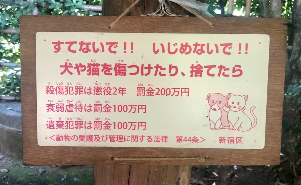f:id:Conichan:20210726161922j:image