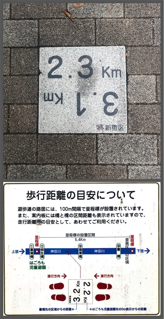 f:id:Conichan:20210823201442j:image