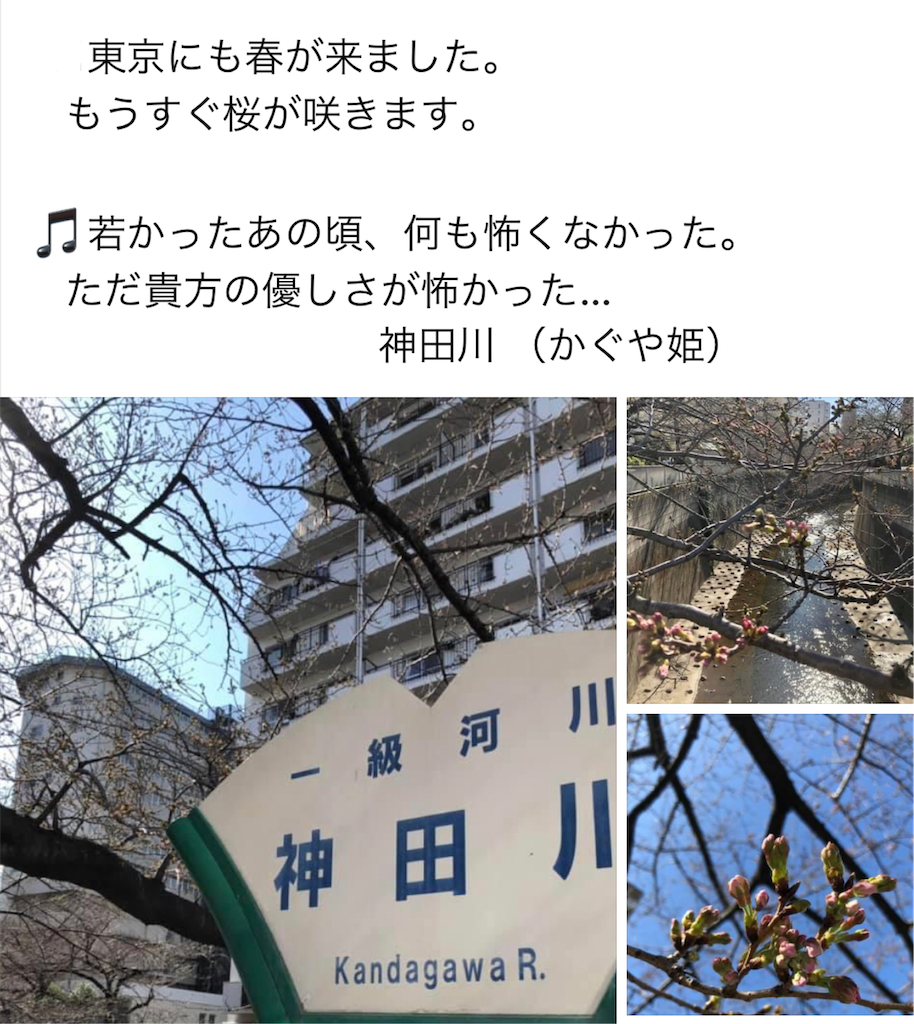 f:id:Conichan:20220321201959p:image