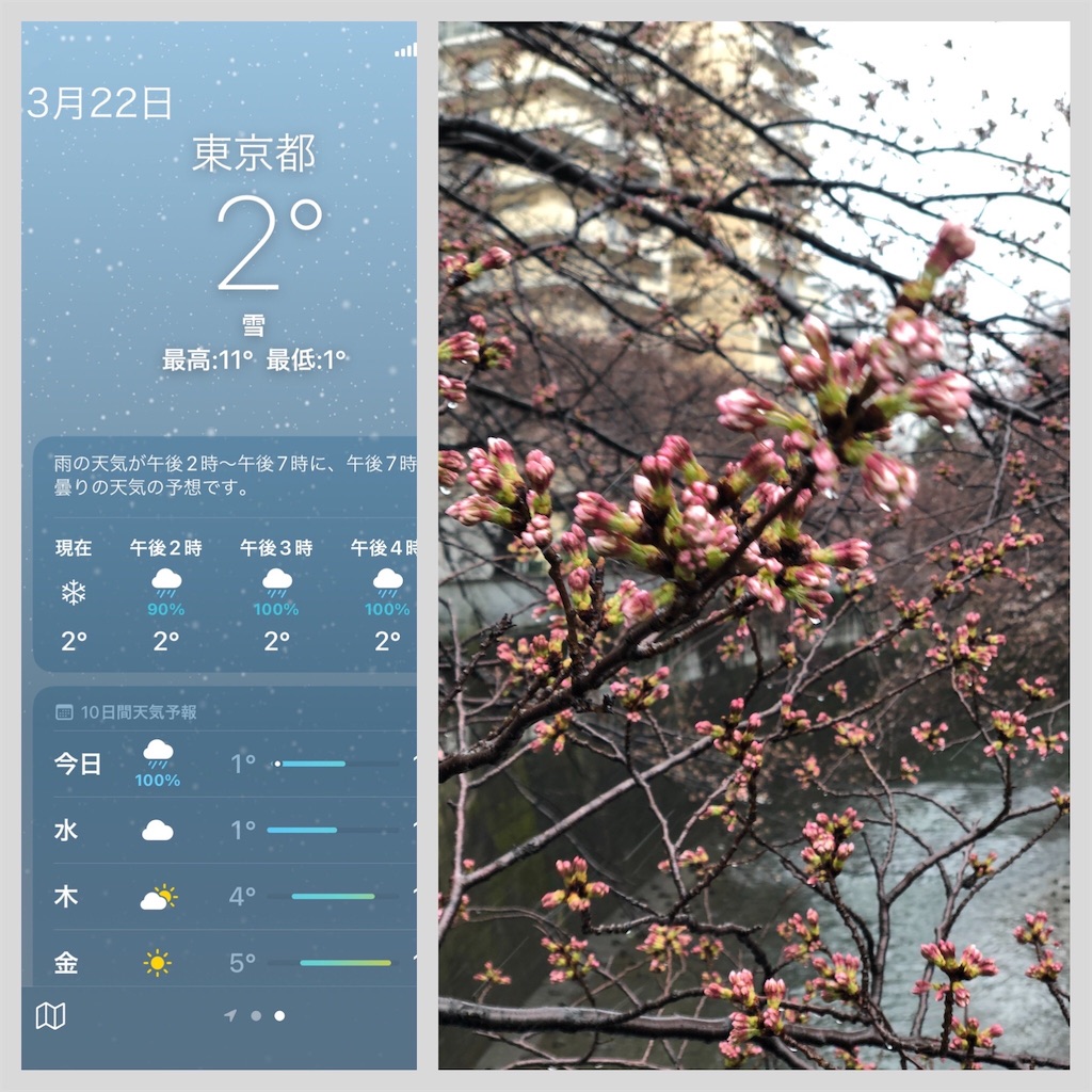 f:id:Conichan:20220322152148j:image