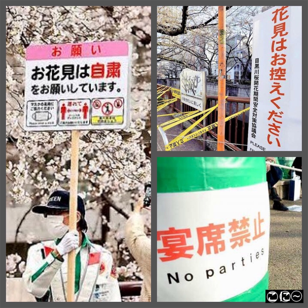 f:id:Conichan:20220329232434j:image