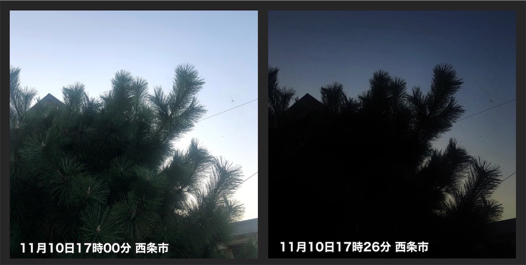 f:id:Conichan:20221111151541j:image