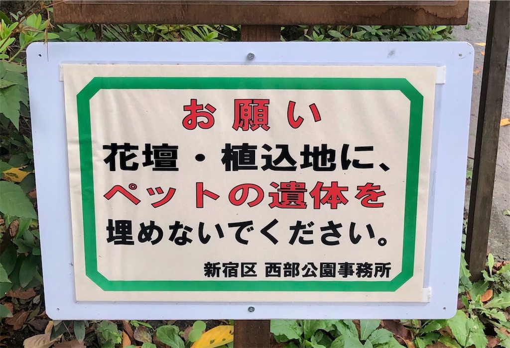 f:id:Conichan:20221118173831j:image