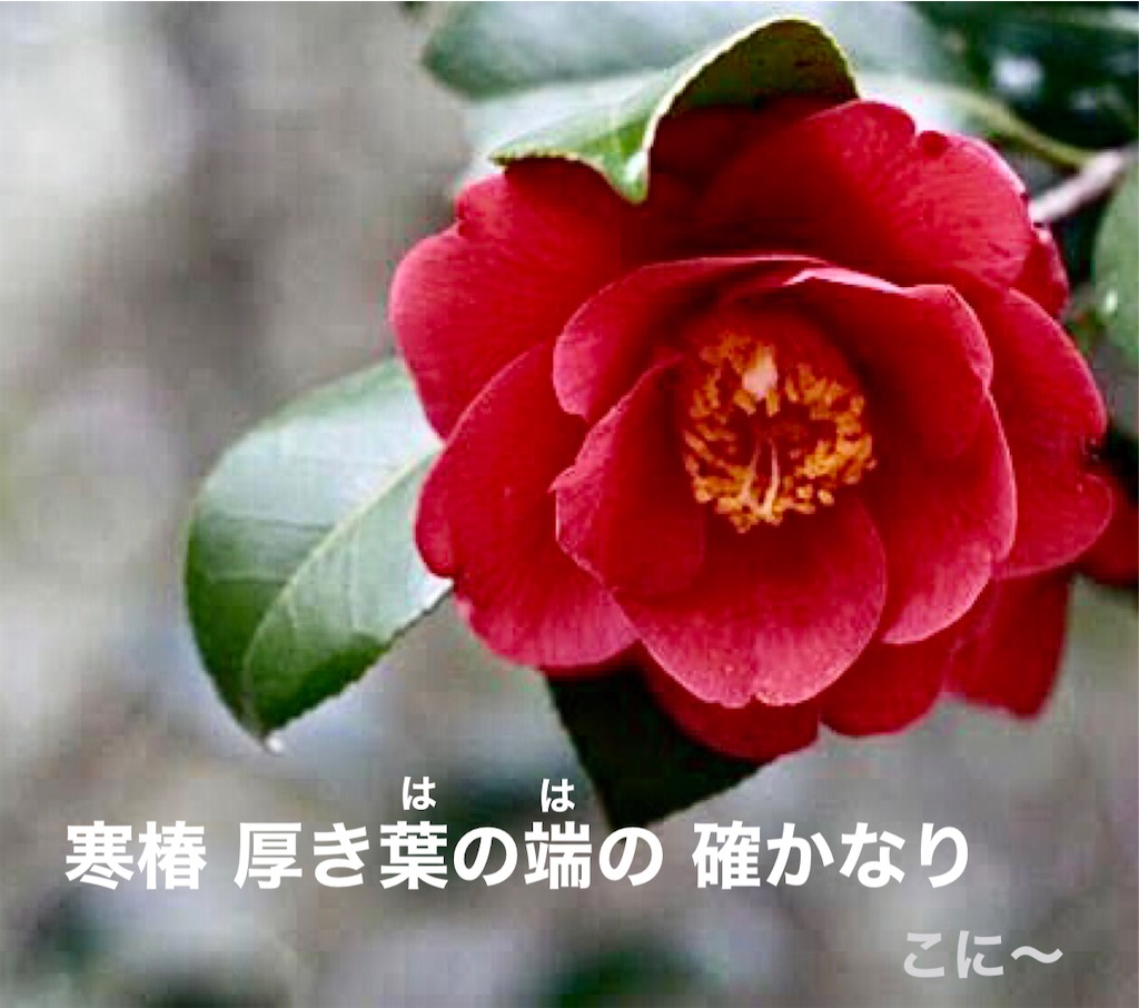 f:id:Conichan:20230402123349j:image