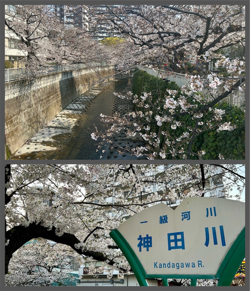 f:id:Conichan:20260329175759j:image f:id:Conichan:20260329175759j:image