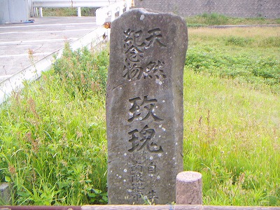 f:id:ConquestArrow:20090627033751j:image