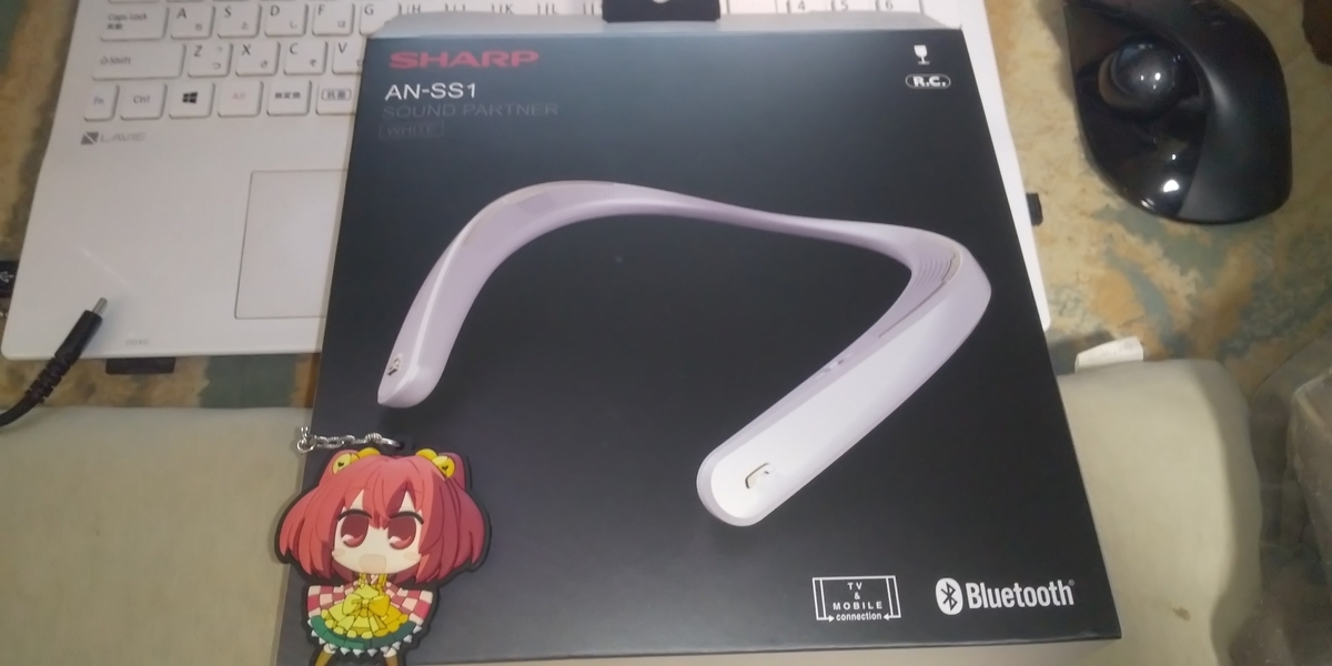 f:id:CooRoot08:20190910211450j:plain