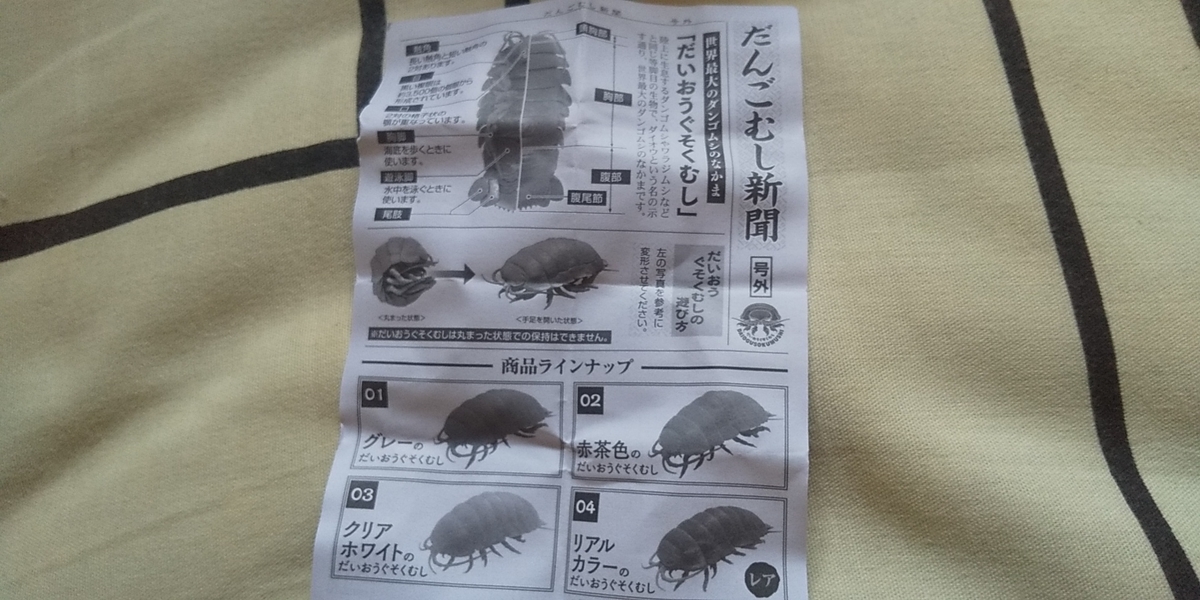 f:id:CooRoot08:20200903210408j:plain f:id:CooRoot08:20200903210408j:plain