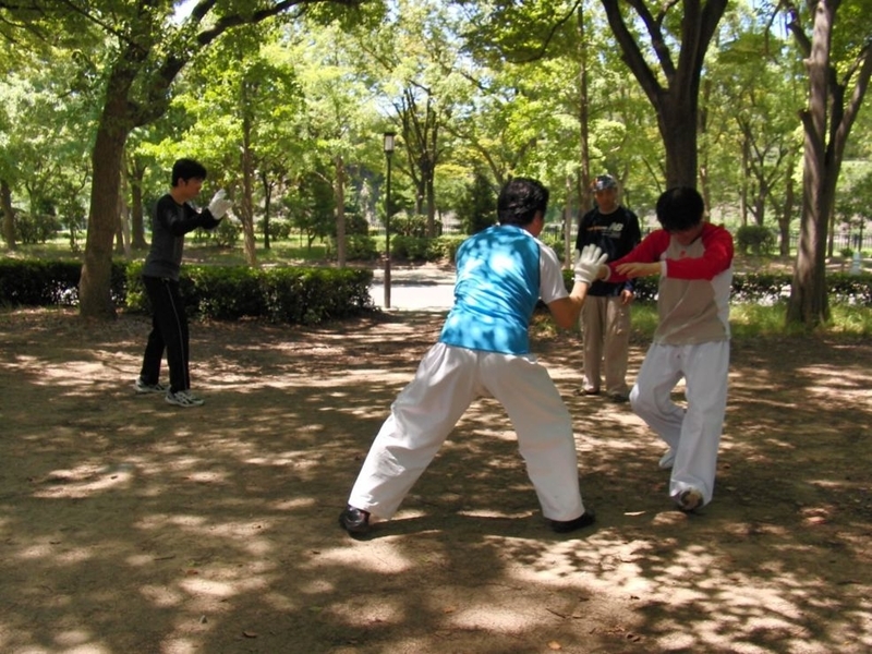 イメージ 7