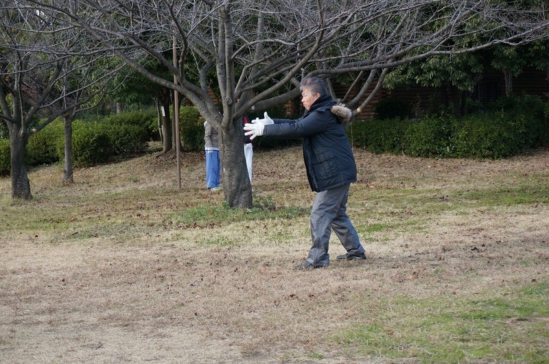 イメージ 11