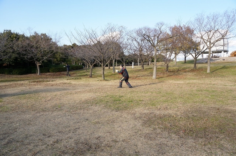イメージ 17