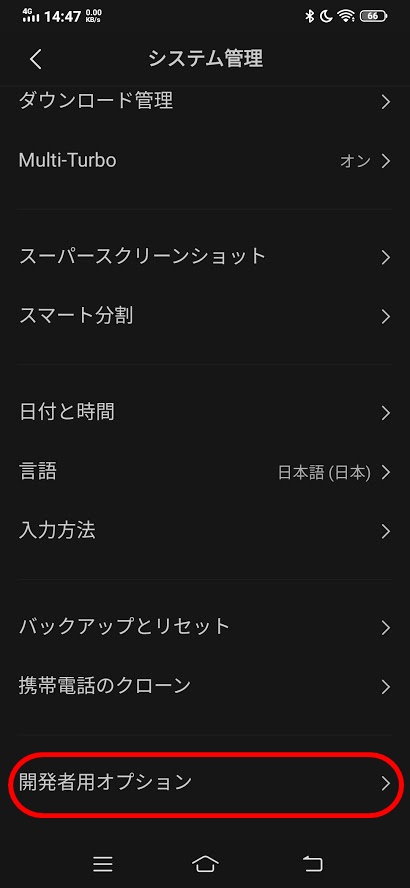 f:id:Corgi_nu:20200505144949j:plain