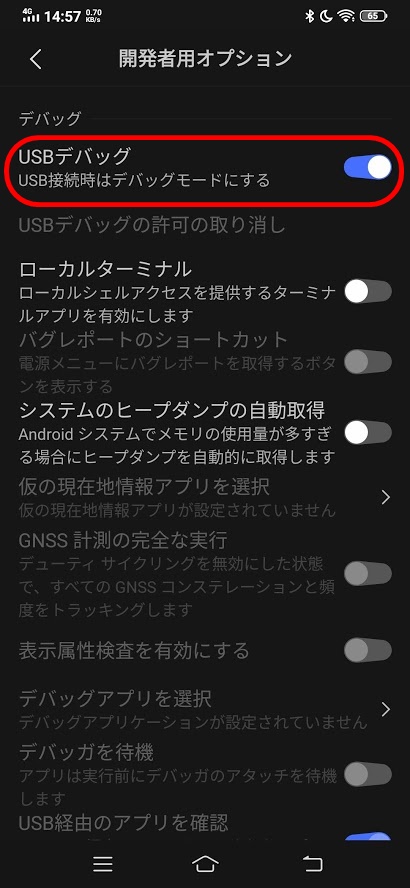 f:id:Corgi_nu:20200505145844j:plain