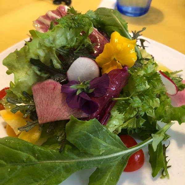 f:id:Coro-coro:20190617230728j:plain