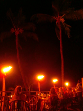 f:id:Cosmo-kun:20091026135032j:image:h210