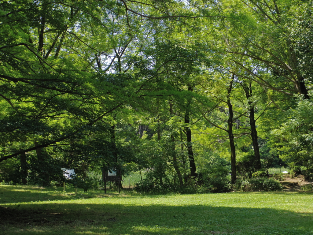 f:id:Cosmop:20160521215434j:plain