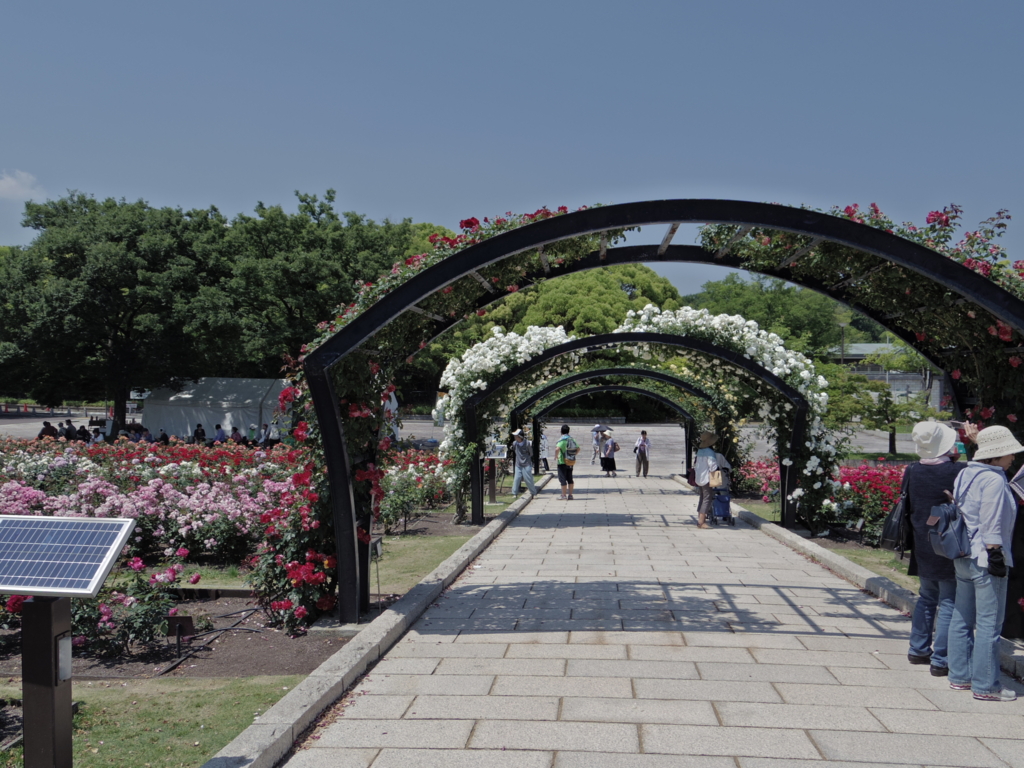 f:id:Cosmop:20160521220604j:plain