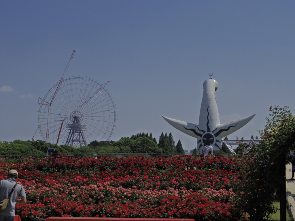 f:id:Cosmop:20160521221657j:plain