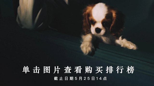 f:id:Cotton777:20210517234129j:plain