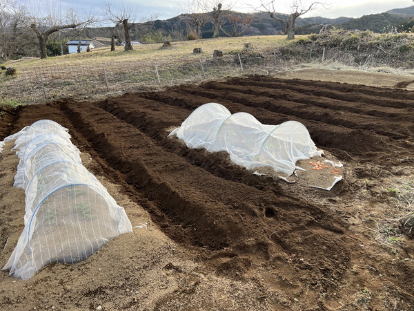 トンネル栽培とDIYの罠 - お家建設備忘録（DIYは続くよどこまでも）