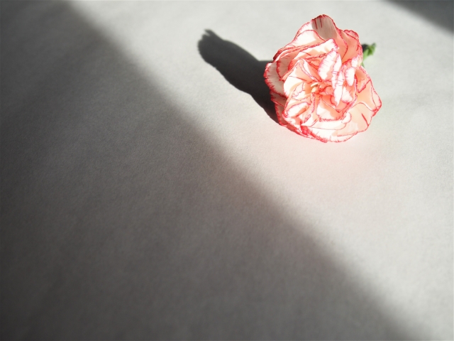 f:id:Cozy28:20200503101537j:plain