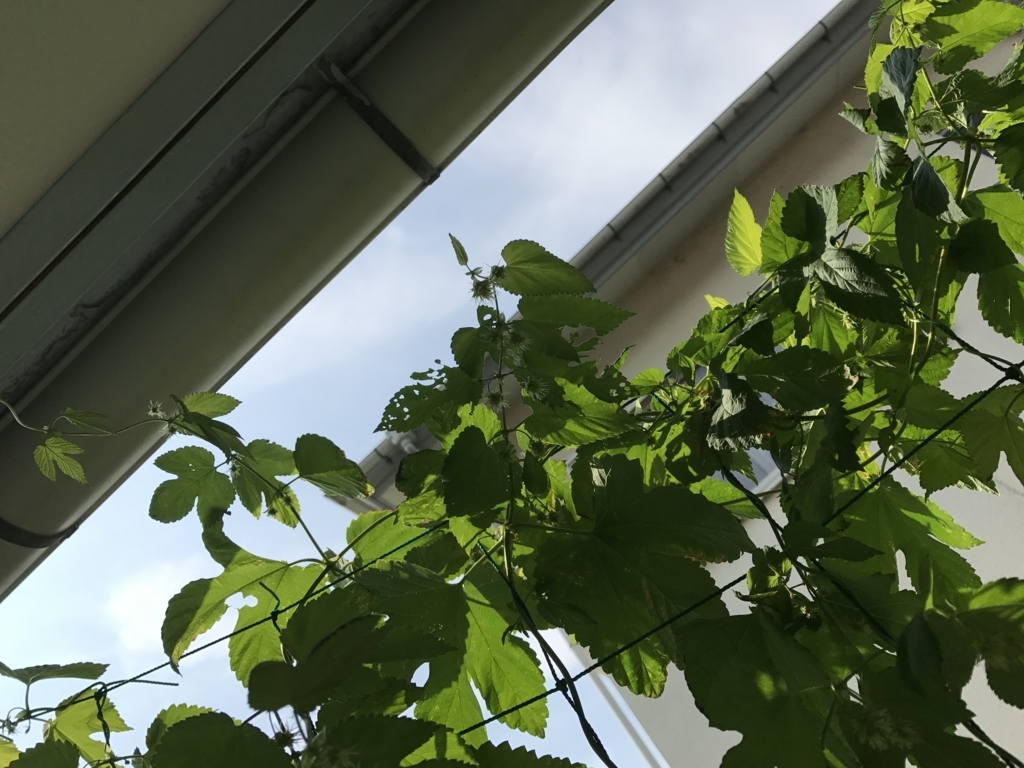 f:id:CraftbeerPROST:20170726104118j:plain