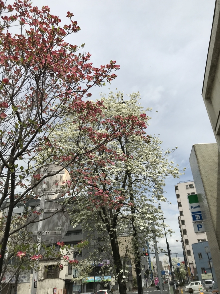 f:id:CraftbeerPROST:20180408095446j:plain