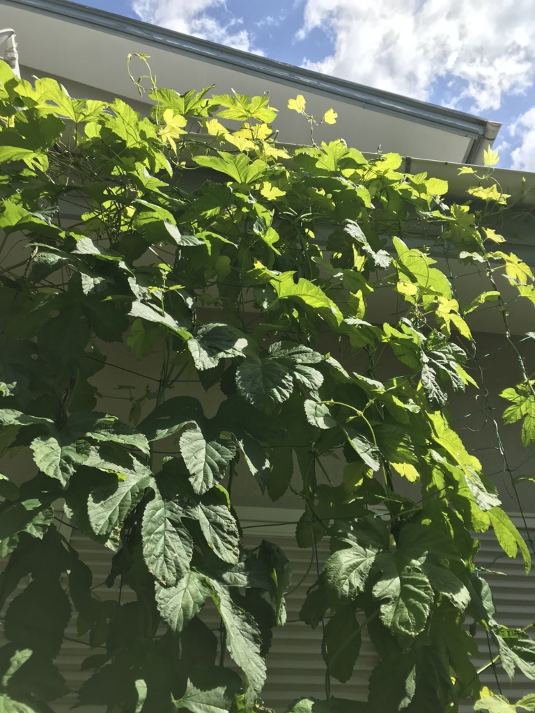 f:id:CraftbeerPROST:20180514114258j:plain