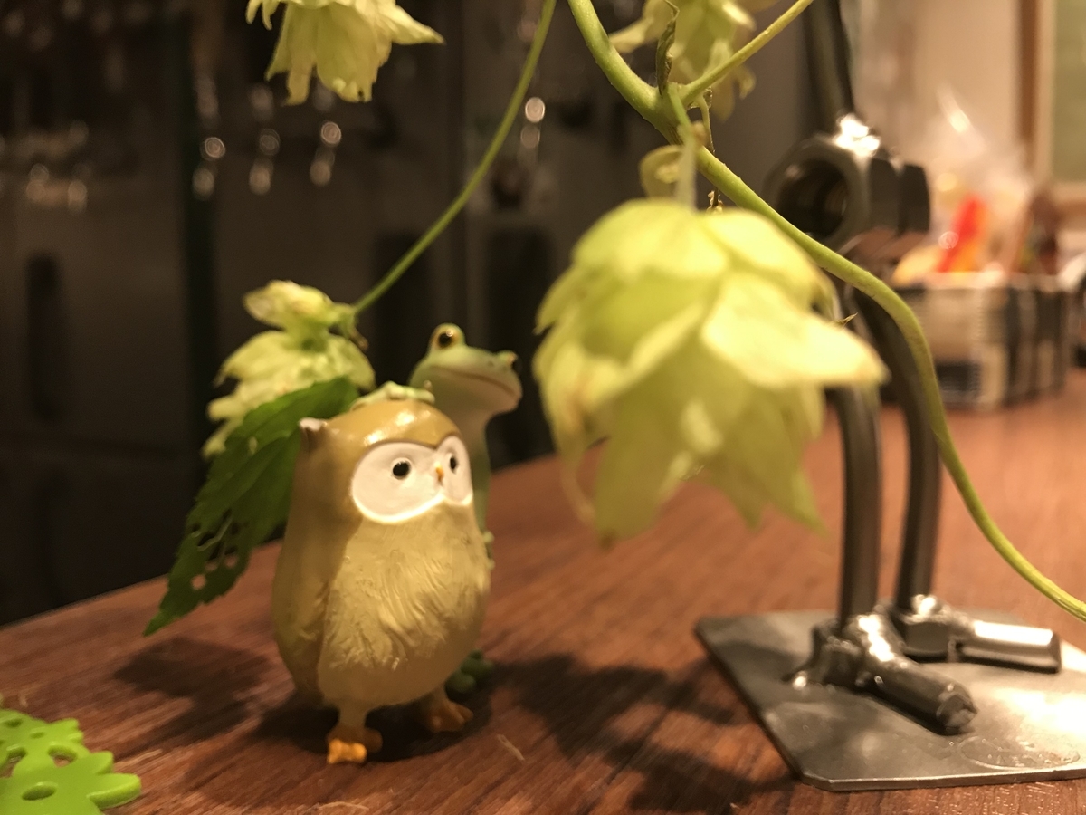 f:id:CraftbeerPROST:20190705101919j:plain f:id:CraftbeerPROST:20190705101919j:plain